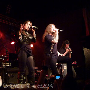 Amaranthe Artikel