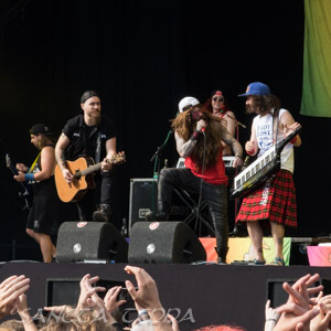 Alestorm Artikel